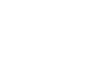 Logo Altera  - białe